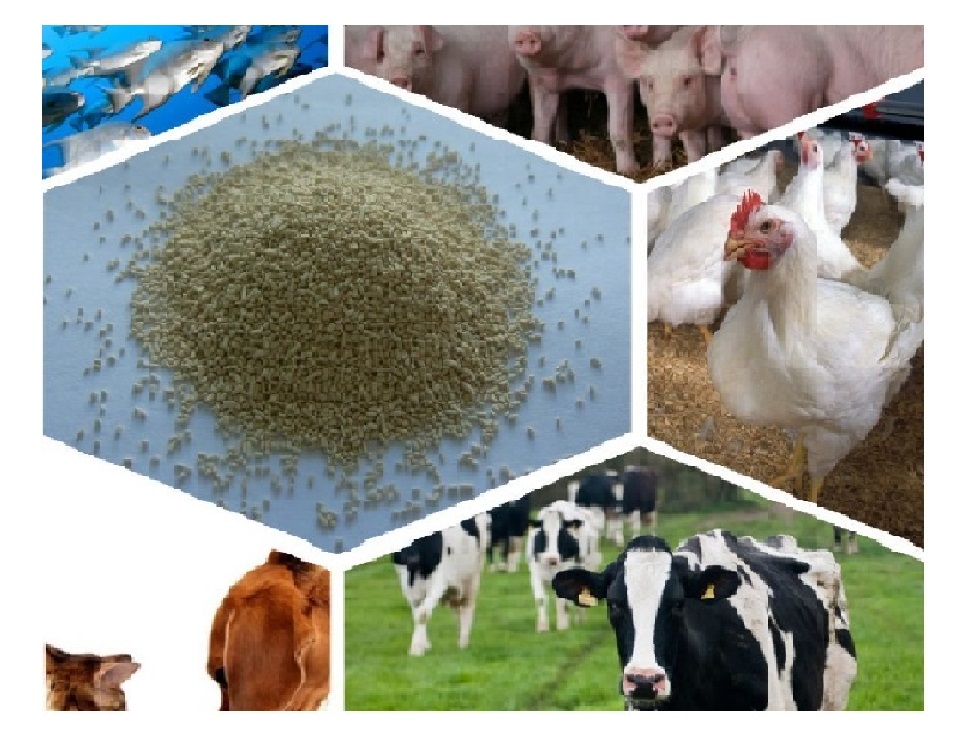 Смесь кормовая для сельскохозяйственных животных